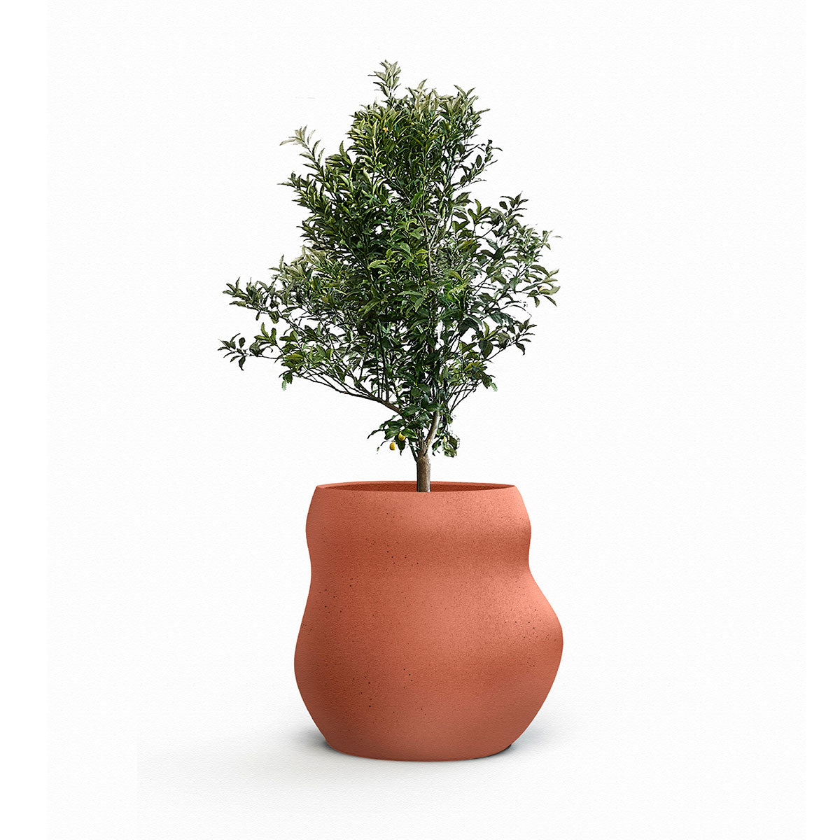 Pebble, Midi – Binowee