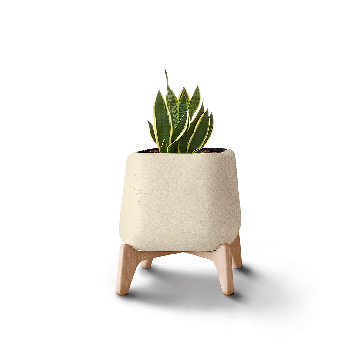 Terra, Mini – Binowee